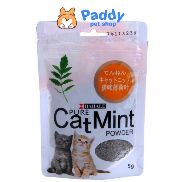 Cỏ Mèo Bạc Hà Catnip Cho Mèo