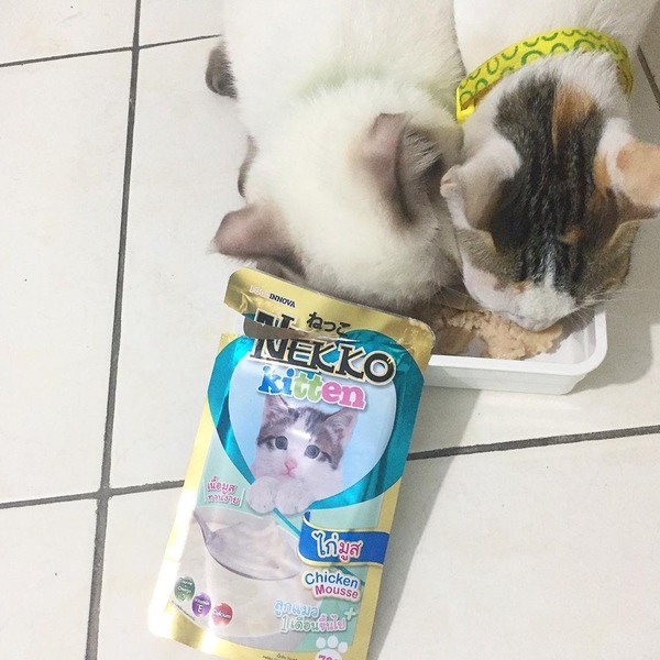 Pate Mèo Con Nekko Kitten Mousse 70g