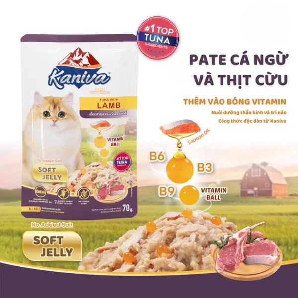 Pate Mèo Kaniva Vitamin Ball Bổ Não Dưỡng Lông 70g