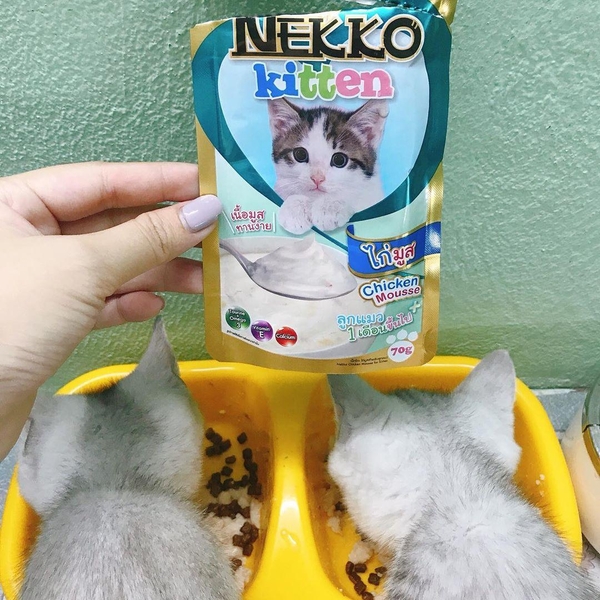 Pate Mèo Con Nekko Kitten Mousse 70g