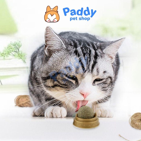 Viên Cỏ Mèo Xoay Gắn Tường Rotating Catnip
