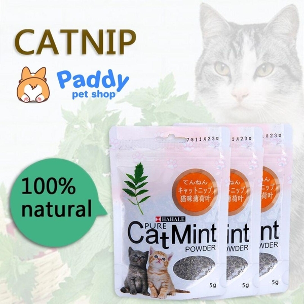 Cỏ Mèo Bạc Hà Catnip Cho Mèo