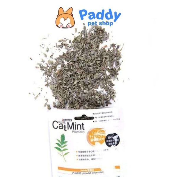 Cỏ Mèo Bạc Hà Catnip Cho Mèo
