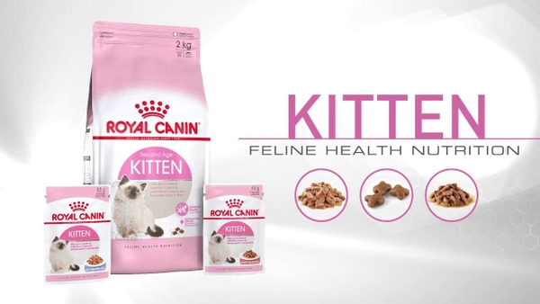 Thức Ăn Hạt Cho Mèo Con Royal Canin Kitten 36