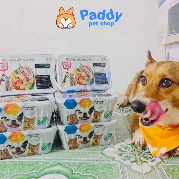 Pate TƯƠI The Pet Cho Chó Mèo Biếng Ăn (1kg) - Ship Now/Grab 2H