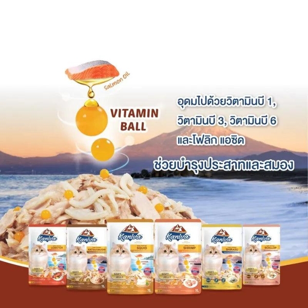 Pate Mèo Kaniva Vitamin Ball Bổ Não Dưỡng Lông 70g