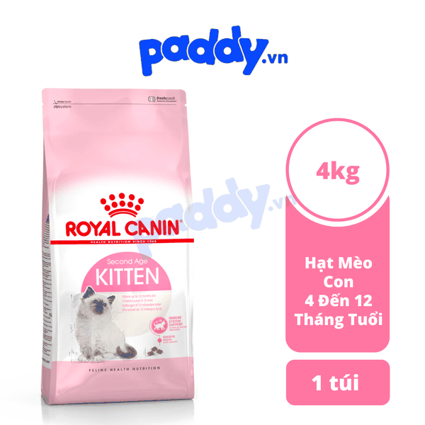 Thức Ăn Hạt Cho Mèo Con Royal Canin Kitten 36