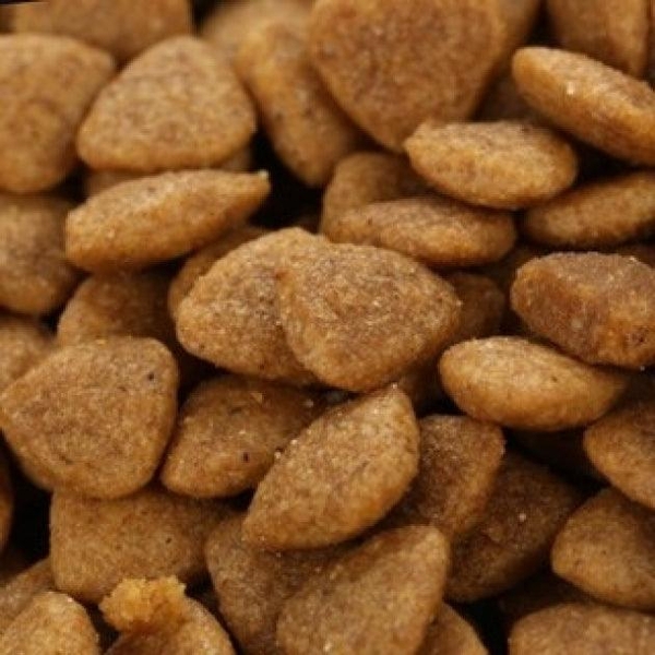 Hạt Cho Mèo Mọi Lứa Tuổi Catsrang