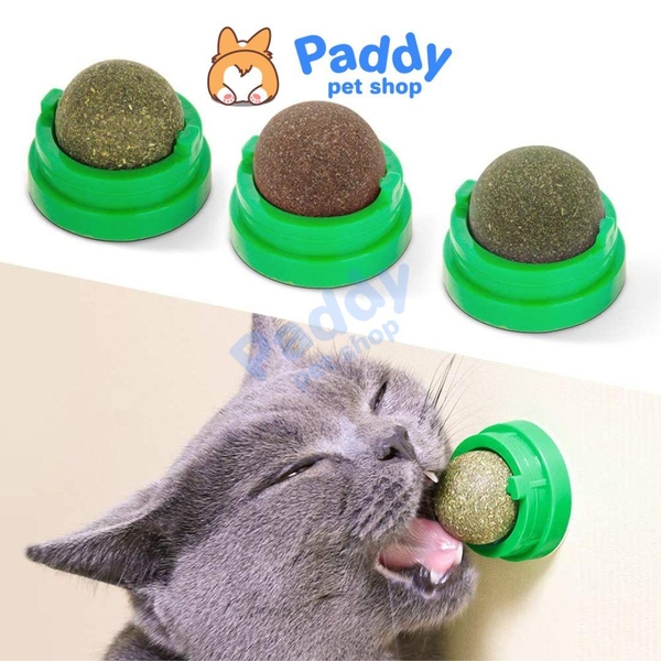 Viên Cỏ Mèo Xoay Gắn Tường Rotating Catnip