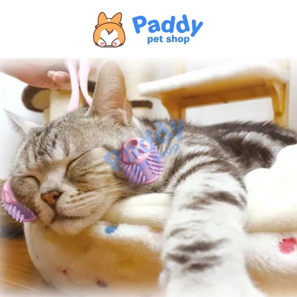 Cây Lăn Mát Xa Cho Mèo Thư Giãn CattyMan