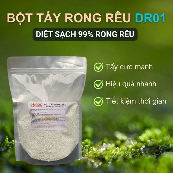 Bột Tẩy Rong Rêu DR01 500g - Đánh Bay Rêu Mốc Xi Măng Siêu Tốc