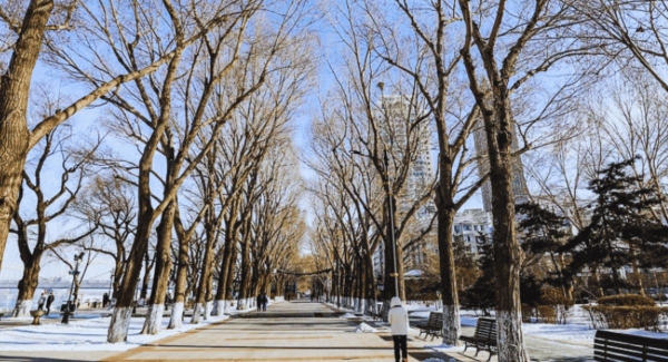 哈爾濱－雪鄉－冰雪節－重慶（七天七夜，特別兩晚雪鄉） CÁP NHĨ TÂN - LÀNG TUYẾT HƯƠNG（2ĐÊM） - LỄ HỘI BĂNG ĐĂNG - TRÙNG KHÁNH（7 NGÀY 7 ĐÊM）