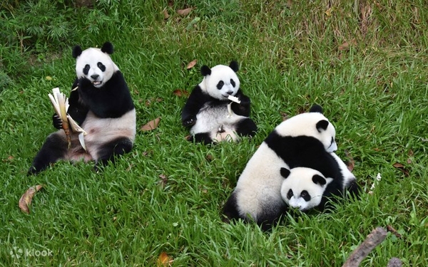 深圳－廣州－中山 － 子午線觀景台（四天四夜）  THÂM QUYẾN - QUẢNG CHÂU -  TRUNG SƠN - MERIDIAN VIEW CENTTER（4 NGÀY 4 ĐÊM）