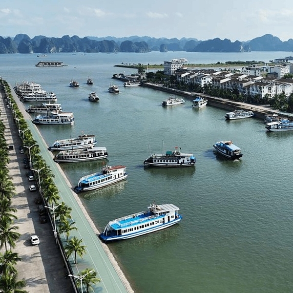 河內 – 下龍灣 – 寧平 – 河內（5天4夜）Hà Nội -Vịnh Hạ Long -Ninh Bình_Hà Nội (5 ngày 4 đêm )