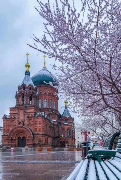 哈爾濱－雪鄉－冰雪節－重慶（七天七夜，特別兩晚雪鄉） CÁP NHĨ TÂN - LÀNG TUYẾT HƯƠNG（2ĐÊM） - LỄ HỘI BĂNG ĐĂNG - TRÙNG KHÁNH（7 NGÀY 7 ĐÊM）