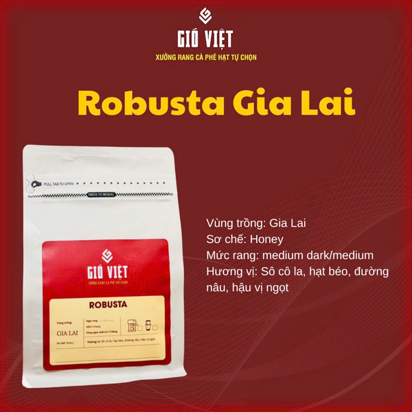 Cà phê Gió Việt Robusta Gia Lai gu truyền thống - Gói 250g