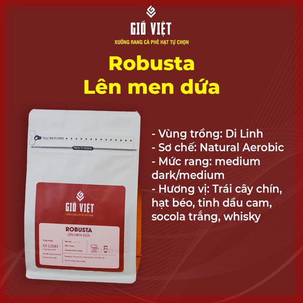 Cà phê Gió Việt Robusta sơ chế Natural Aerobic dứa - Gói 250gr