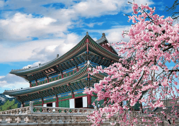 kinh-nghiem-du-lich-han-quoc-vsg-travel