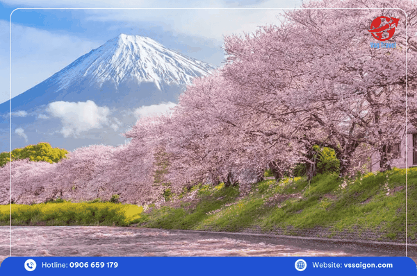 tour tokyo phú sĩ nagoya kyoto vsg travel