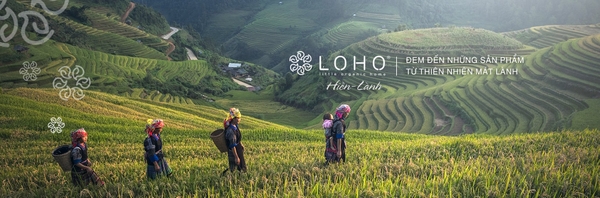 Công ty TNHH Litlle Organic Home Việt Nam