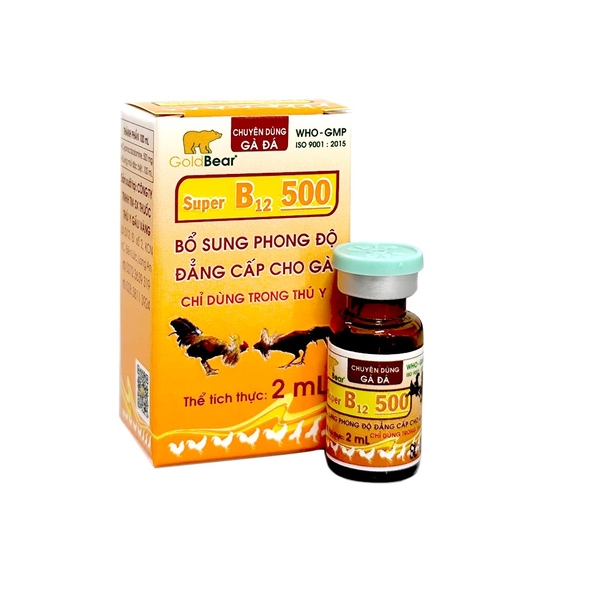b12-500-viet-nam