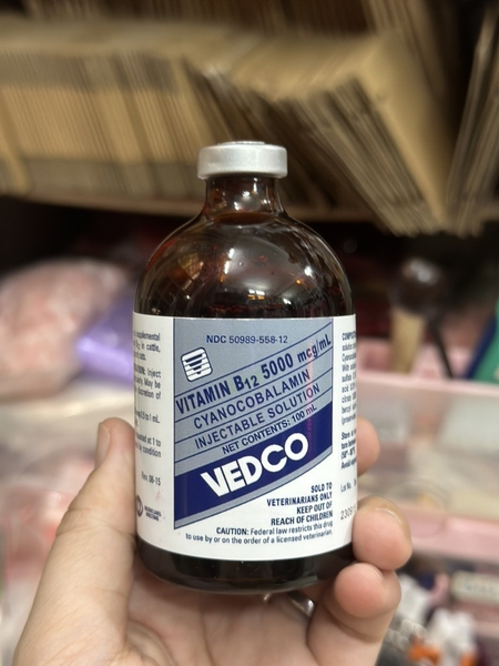 b12-5000-vedco-10ml