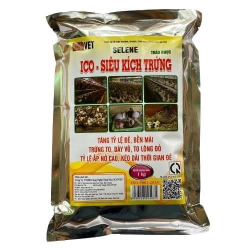 ico-sieu-kich-trung-ky
