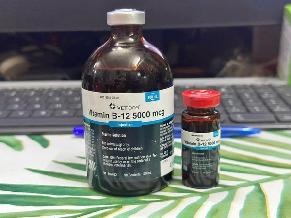 b12-5000-vetone-100ml-usa