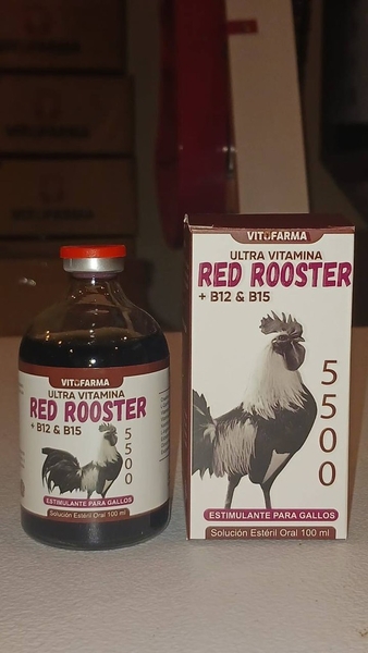 red-rooter-5500-b12-b15