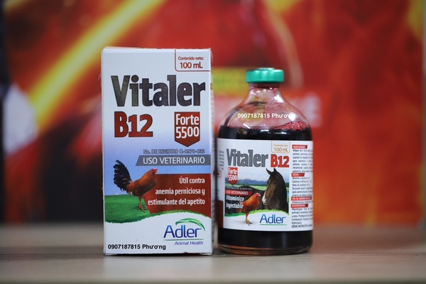 vitaler-b12-100ml