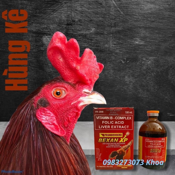 bexan-xp-100ml