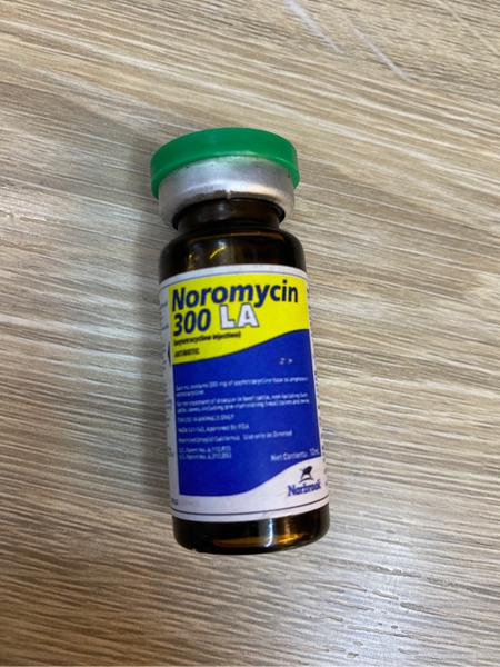 noromycin-300-la-10ml