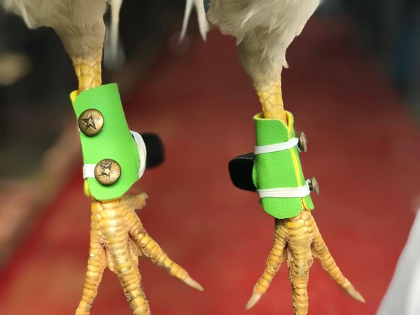 ta-ga-tre
