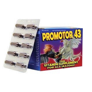 promoto-43