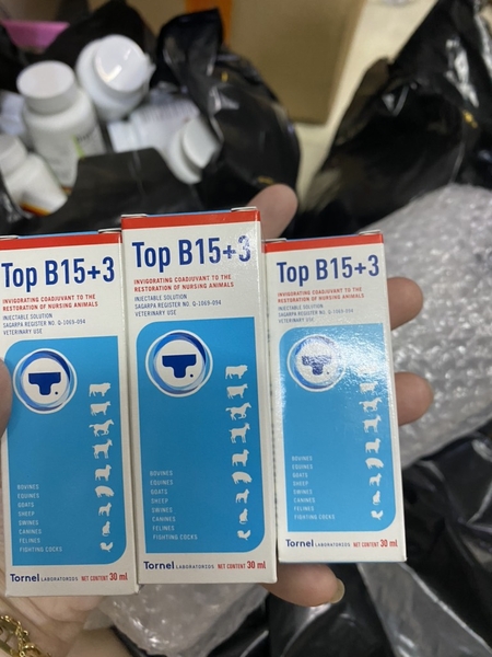 top-b15-3