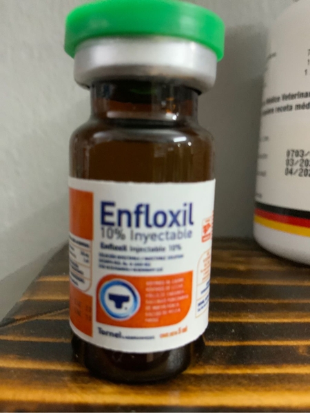 enfloxil-10-10ml