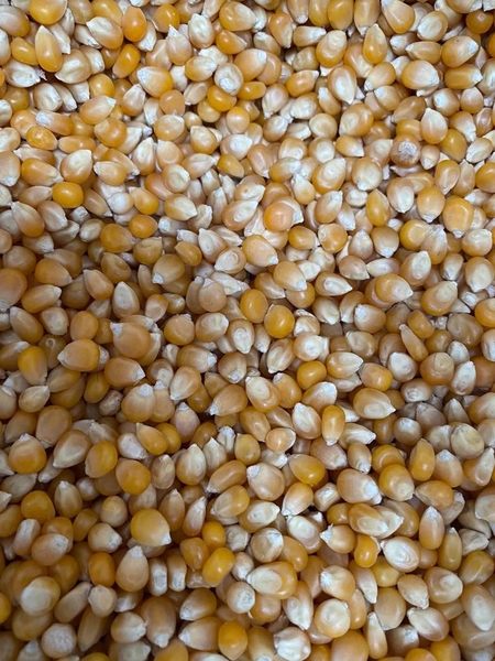 bap-my-1-bao-22-68kg