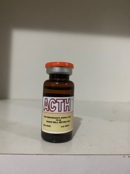 thuoc-da-acth