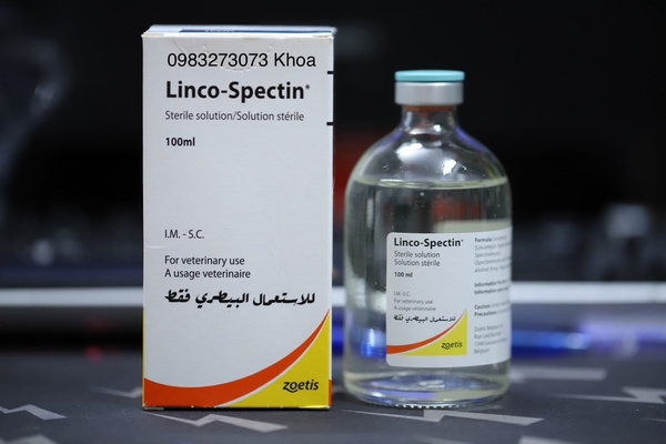 linco-spectin-bi-10ml-chiet