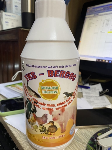 bercoc-1lit