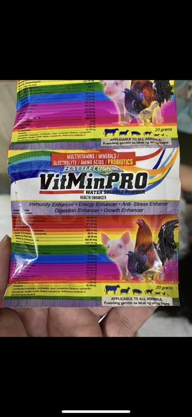 vitamin-pro-goi-le-1-goi