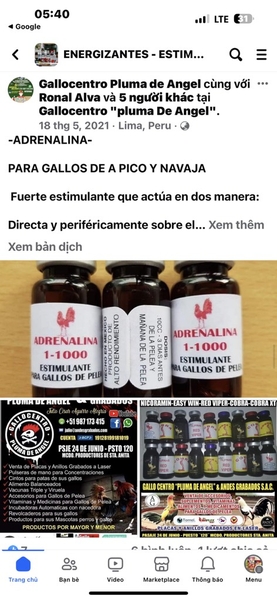 adrenalina-1-1000-1ml-le