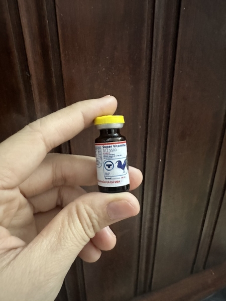 b12-5500-3ml