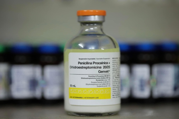 penicilina-pro-50ml