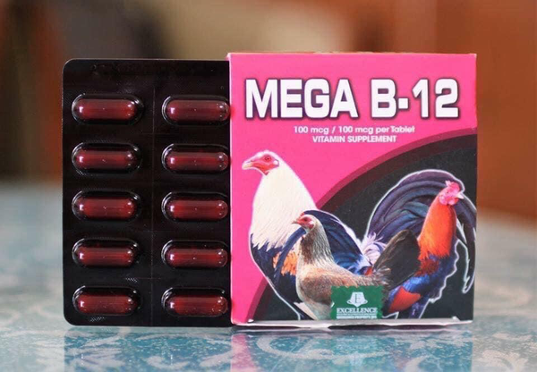 mega-b12-le