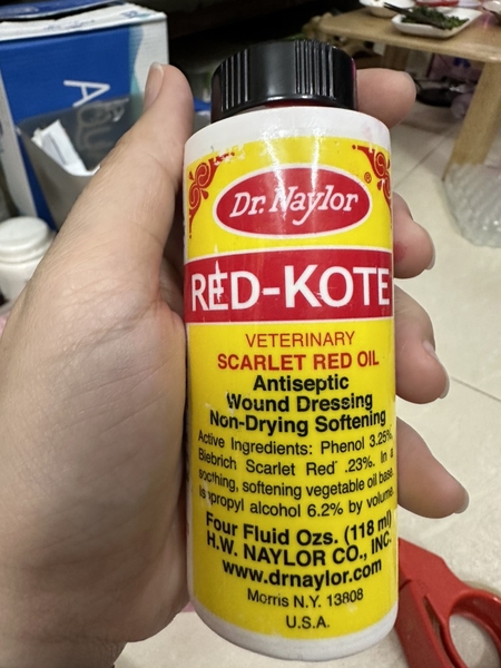 red-kotex-nghe-do-chai