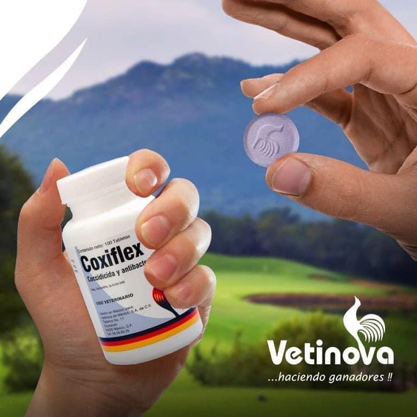 coxiflex-le