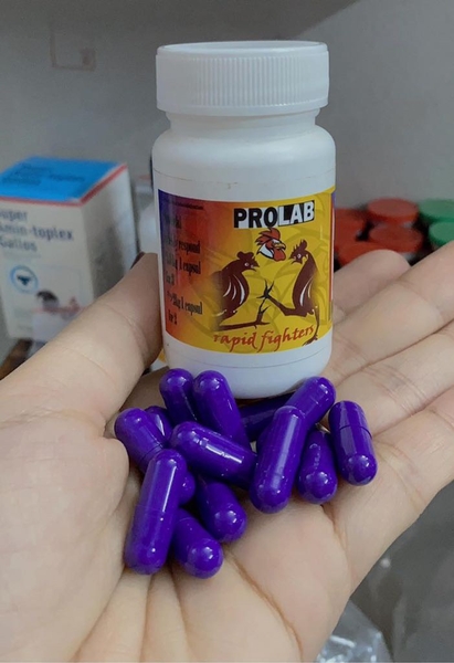 prolab-nhong-tim-1hop-15v