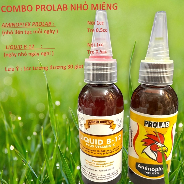 combo-prolab-nho-mieng
