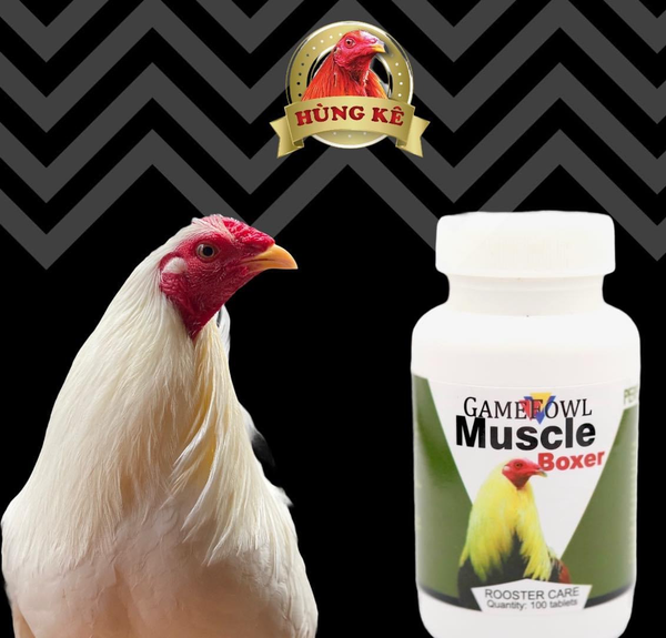 muscle-boxer-1-hop